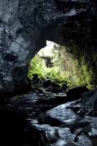 shutterstock_13275856