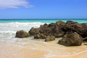 shutterstock_2350435