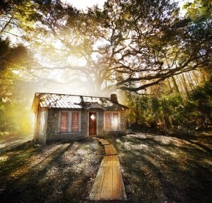 dreamstime_l_13441231