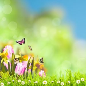 shutterstock_172684319