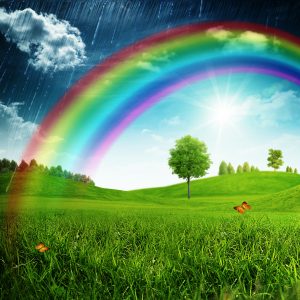 shutterstock_233373313