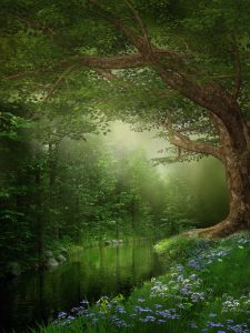 shutterstock_85759258